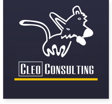 Cleo Consulting